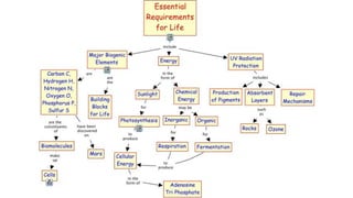 Evandro Sanguinetto-2013
 