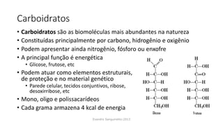Carboidratos
• Carboidratos são as biomoléculas mais abundantes na natureza
• Constituídas principalmente por carbono, hidrogênio e oxigênio
• Podem apresentar ainda nitrogênio, fósforo ou enxofre
• A principal função é energética
• Glicose, frutose, etc
• Podem atuar como elementos estruturais,
de proteção e no material genético
• Parede celular, tecidos conjuntivos, ribose,
desoxirribose, etc
• Mono, oligo e polissacarídeos
• Cada grama armazena 4 kcal de energia
Evandro Sanguinetto-2013
 