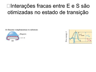 Interações fracas entre E e S são 
otimizadas no estado de transição 
 