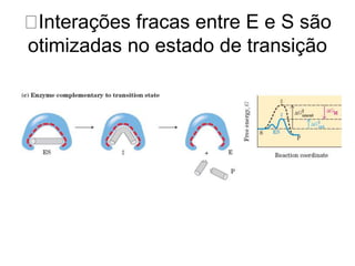 Interações fracas entre E e S são 
otimizadas no estado de transição 
 