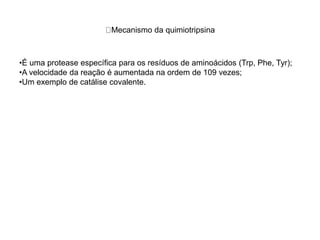 Mecanismo da quimiotripsina 
•É uma protease específica para os resíduos de aminoácidos (Trp, Phe, Tyr); 
•A velocidade da reação é aumentada na ordem de 109 vezes; 
•Um exemplo de catálise covalente. 
 