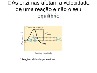 As enzimas afetam a velocidade 
de uma reação e não o seu 
equilíbrio 
Reação catalisada por enzimas 
 
