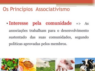 •Interesse pela comunidade => As associações trabalham para o desenvolvimento sustentado das suas comunidades, segundo politicas aprovadas pelos membros. 
Os Princípios Associativismo  
