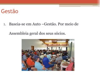 Gestão 
1.Baseia-se em Auto –Gestão. Por meio de Assembleia geral dos seus sócios. 
 
