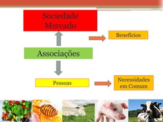 Pessoas 
Necessidades em Comum 
Associações 
Benefícios 
Sociedade 
Mercado  