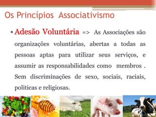 Os Princípios Associativismo 
•Adesão Voluntária => As Associações são organizações voluntárias, abertas a todas as pessoas aptas para utilizar seus serviços, e assumir as responsabilidades como membros . Sem discriminações de sexo, sociais, raciais, politicas e religiosas.  