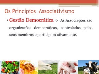 •Gestão Democrática=> As Associações são organizações democráticas, controladas pelos seus membros e participam ativamente. 
Os Princípios Associativismo  