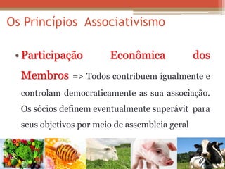 •Participação Econômica dos Membros => Todos contribuem igualmente e controlam democraticamente as sua associação. Os sócios definem eventualmente superávit para seus objetivos por meio de assembleia geral 
Os Princípios Associativismo  