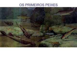 OS PRIMEIROS PEIXES
 