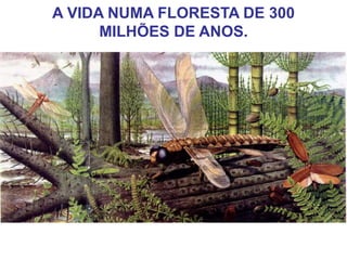 A VIDA NUMA FLORESTA DE 300
MILHÕES DE ANOS.
 