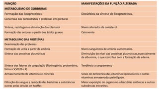 FUNÇÃO MANIFESTAÇÕES DA FUNÇÃO ALTERADA
METABOLISMO DE GORDURAS
Formação das lipoproteinas Distúrbios da síntese de lipoproteínas.
Conversão dos carboidratos e proteínas em gorduras
Síntese, reciclagem e eliminação do colesterol Níveis alterados de colesterol.
Formação das cetonas a partir dos ácidos graxos Cetonemia
METABOLISMO DAS PROTEÍNAS
Deaminação das proteínas
Formação de uréia a partir da amônia Níveis sanguíneos de amônia aumentados.
Síntese das proteínas plasmáticas Diminuição do nível das proteínas plasmáticas,especialmente
da albumina, o que contribui com a formação de edema.
Síntese dos fatores de coagulação (fibrinogênio, protombina,
fatores V,VII,IX e X)
Tendência a sangramento
Armazenamento de vitaminas e minerais Sinais de deficiência das vitaminas lipossolúveis e outras
vitaminas armazenadas pelo fígado.
Filtração do sangue e remoção das bactérias e substâncias
outras pelas células de Kupffer.
Maior exposição do organismo a bactérias colônicas e outras
substâncias estranhas.
 