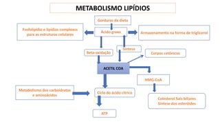 METABOLISMO LIPÍDIOS
Gorduras da dieta
Àcido graxo Armazenamento na forma de triglicerol
Fosfolipídio e lipídios complexos
para as estruturas celulares
HMG-CoA
Metabolismo dos carboidratos
e aminoácidos
Beta-oxidação
Ciclo do ácido cítrico
ATP
Síntese
Colesterol Sais biliares
Sintese dos esteróides
ACETIL COA
Corpos cetônicos
 