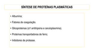 SÍNTESE DE PROTEÍNAS PLASMÁTICAS
• Albumina;
• Fatores de coagulação.
• Glicoproteinas (α1 antitripsina e ceruloplasmina).
• Proteínas transportadoras de ferro;
• Inibidores de protease.
 