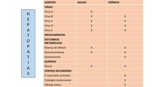 AGENTES AGUDA CRÔNICA
VIRAIS
Vírus A X
Vírus B X X
Vírus C X X
Vírus D X X
Vírus E X X
MEDICAMENTOS
DISTÚRBIOS
METABÓLICOS
Doença de Wilson X X
Hemocromatose X X
Galactosemia X
QUÍMICO
Álcool X X
DOENÇA SECUNDÁRIA
Cirrose biliar primária X
Colangite esclerosante X
Fibrose cística X
H
E
P
A
T
O
P
A
T
I
A
S
 