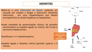 HEPATITES
Refere-se a uma inflamação do fígado, podendo ser
causada por reações a drogas e toxinas,em distúrbios
infecciosos, por vírus hepatotrópicos que afetam
principalmente as células hepáticas ou hepatócitos.
Ampla variedade de apresentações clínicas, de portador
assintomático ou hepatite aguda ou crônica, até cirrose e
carcinoma hepatocelular;
Semelhança =>>> Hepatotropismo;
Hepatite Aguda e Hepatite crônica (período superior a 6
meses).
A, B, C, D, E e G;
CITOMEGALOVÍRUS
HERPES
FEBRE AMARELA
 