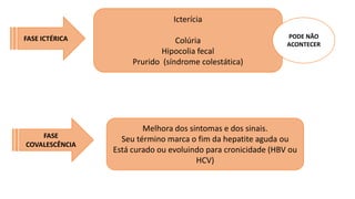 FASE ICTÉRICA
Icterícia
Colúria
Hipocolia fecal
Prurido (síndrome colestática)
PODE NÃO
ACONTECER
FASE
COVALESCÊNCIA
Melhora dos sintomas e dos sinais.
Seu término marca o fim da hepatite aguda ou
Está curado ou evoluindo para cronicidade (HBV ou
HCV)
 