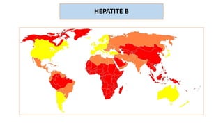 HEPATITE B
 