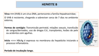 HEPATITE B
Vírus =>> (HVB) é um vírus DNA, pertencente a família Hepadnaviridae;
O VHB é resistente, chegando a sobreviver cerca de 7 dias no ambiente
externo;
Formas de contágio: Transmissão perinatal, relações sexuais, transfusão
de sangue/derivados, uso de drogas E.V., transplantes, lesões de pele
ou acidentes com agulhas.
Início =>>> HBcAg é expresso na membrana do hepatócito iniciando o
processo inflamatório.
Período de incubação longo.
 