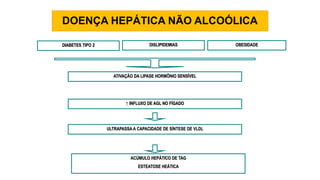 DOENÇA HEPÁTICA NÃO ALCOÓLICA
ULTRAPASSA A CAPACIDADE DE SÍNTESE DE VLDL
↑ INFLUXO DE AGL NO FÍGADO
ACÚMULO HEPÁTICO DE TAG
ESTEATOSE HEÁTICA
DIABETES TIPO 2 OBESIDADE
ATIVAÇÃO DA LIPASE HORMÔNIO SENSÍVEL
DISLIPIDEMIAS
 