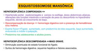 HEPATOESPLÊNICA COMPENSADA =>
• Hipertensão portal, esplenomegalia e varizes no esôfago, dores abdominais atípicas,
alterações das funções intestinais e sensação de peso ou desconforto no hipocôndrio
esquerdo, devido ao crescimento do baço.
• Descompensação da doença => hemorragia digestiva com a presença de hematêmese
e/ou melena.
• Exame físico=>Fígado aumentado, com predomínio do lobo esquerdo, baço aumentado,
endurecido e indolor à palpação.
• Predomina nos adolescentes e adultos jovens.
HEPATOESPLÊNICA DESCOMPENSADA =>MAIS GRAVE.
• Diminuição acentuada do estado funcional do fígado.
• Surtos de hemorragia digestiva ,isquemia hepática e fatores associados.
ESQUISTOSSOMOSE MANSÔNICA
 