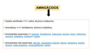 AMINOÁCIDOS
• Cadeia ramificada =>>> valina, leucina e isoleucina.
• Aromáticos =>>> fenilalanina, tirosina e triptofano.
• Aminoácidos essenciais => arginina, fenilalanina, isoleucina, leucina, lisina, metionina,
treonina, triptofano, histidina e valina.
• Aminoácidos não essenciais: alanina, asparagina,cisteína, glicina, glutamina, prolina,
tirosina, ácido aspártico, ácido glutâmico, serina.
 