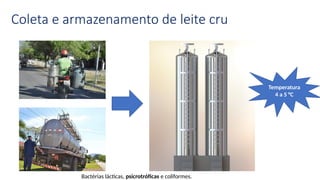 Coleta e armazenamento de leite cru
Temperatura
4 a 5 °C
Bactérias lácticas, psicrotróficas e coliformes.
 