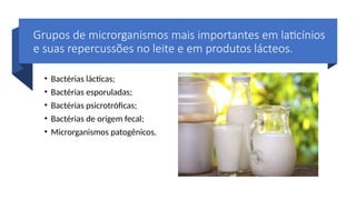Grupos de microrganismos mais importantes em laticínios
e suas repercussões no leite e em produtos lácteos.
• Bactérias lácticas;
• Bactérias esporuladas;
• Bactérias psicrotróficas;
• Bactérias de origem fecal;
• Microrganismos patogênicos.
 