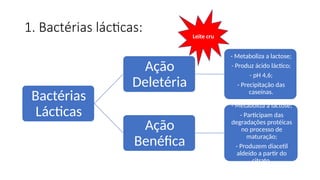 1. Bactérias lácticas:
Bactérias
Lácticas
Ação
Deletéria
- Metaboliza a lactose;
- Produz ácido láctico;
- pH 4,6;
- Precipitação das
caseínas.
Ação
Benéfica
- Metaboliza a lactose;
- Participam das
degradações protéicas
no processo de
maturação;
- Produzem diacetil
aldeído a partir do
citrato.
Leite cru
 