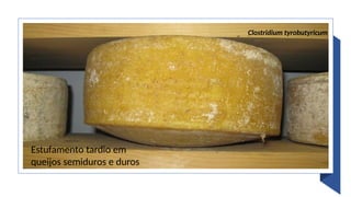 Estufamento tardio em
queijos semiduros e duros
Clostridium tyrobutyricum
 