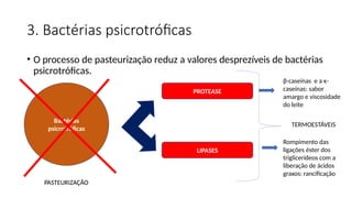 3. Bactérias psicrotróficas
• O processo de pasteurização reduz a valores desprezíveis de bactérias
psicrotróficas.
Bactérias
psicrotróficas
PASTEURIZAÇÃO
PROTEASE
LIPASES
TERMOESTÁVEIS
β-caseínas e a κ-
caseínas: sabor
amargo e viscosidade
do leite
Rompimento das
ligações éster dos
triglicerídeos com a
liberação de ácidos
graxos: rancificação
Bactérias
psicrotróficas
PASTEURIZAÇÃO
 