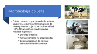 Microbiologia do Leite
• O leite , mesmo o que procede de animais
saudáveis, sempre contém uma série de
microrganismos cuja taxa é muito variável
(10³ a 106
ufc/mL), dependendo das
medidas higiênicas:
• Durante ordenha;
• Armazenamento na propriedade;
• Centros regionais de coleta e
centrais de beneficiamento.
 