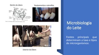 Microbiologia
do Leite
Fontes principais que
determinam a taxa e tipos
de microrganismos:
Dentro do úbere Equipamentos e utensílios
Exterior do Úbere
 