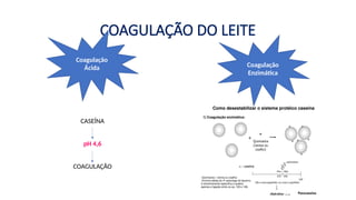 COAGULAÇÃO DO LEITE
Coagulação
Ácida Coagulação
Enzimática
CASEÍNA
pH 4,6
COAGULAÇÃO
 