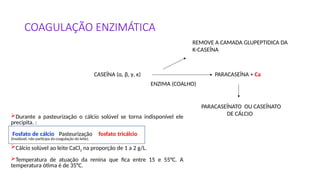 COAGULAÇÃO ENZIMÁTICA
CASEÍNA (α, β, γ, κ) PARACASEÍNA + Ca
PARACASEÍNATO OU CASEÍNATO
DE CÁLCIO
ENZIMA (COALHO)
REMOVE A CAMADA GLUPEPTIDICA DA
K-CASEÍNA
Durante a pasteurização o cálcio solúvel se torna indisponível ele
precipita. :
Fosfato de cálcio Pasteurização fosfato tricálcio
(insolúvel, não participa da coagulação do leite).
Cálcio solúvel ao leite CaCl2 na proporção de 1 a 2 g/L.
Temperatura de atuação da renina que fica entre 15 e 55°C. A
temperatura ótima é de 35°C.
 