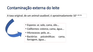 Contaminação externa do leite
A taxa original, de um animal saudável, é aproximadamente 103 ufc/mL
• Esporos: ar, solo, cama, silo...
• Coliformes: esterco, cama, água...
• Micrococos: pelo, ar...
• Bactérias psicotróficas: cama,
forragem, água...
 
