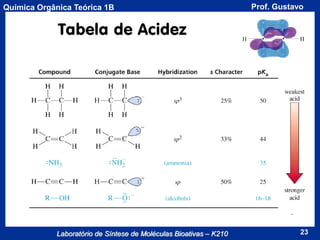 Química Orgânica Teórica 1B

Laboratório de Síntese de Moléculas Bioativas – K210

Prof. Gustavo

23

 