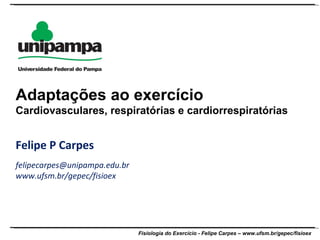 Felipe P Carpes [email_address] www.ufsm.br/gepec/fisioex Adaptações ao exercício Cardiovasculares, respiratórias e cardiorrespiratórias 