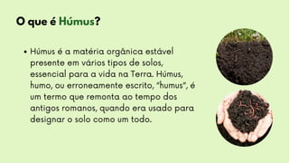 Aula curso Pronatec - Agricultura Orgânica | PDF