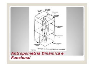 AntropometriaAntropometria DinâmicaDinâmica ee
FuncionalFuncional
 