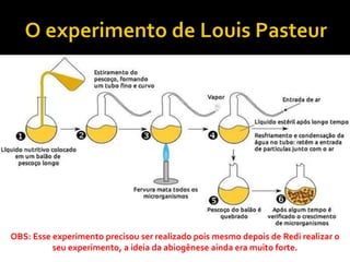 OBS: Esse experimento precisou ser realizado pois mesmo depois de Redi realizar o
seu experimento, a ideia da abiogênese ainda era muito forte.
