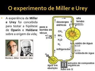 A experiência de Miller
e Urey foi concebida
para testar a hipótese
de Oparin e Haldane
sobre a origem da vida;