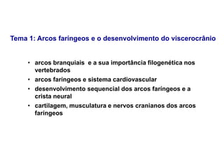 Tema 1: Arcos faríngeos e o desenvolvimento do viscerocrânio
• arcos branquiais e a sua importância filogenética nos
vertebrados
• arcos faríngeos e sistema cardiovascular
• desenvolvimento sequencial dos arcos faríngeos e a
crista neural
• cartilagem, musculatura e nervos cranianos dos arcos
faríngeos
 