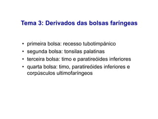 Tema 3: Derivados das bolsas faríngeas
• primeira bolsa: recesso tubotimpánico
• segunda bolsa: tonsilas palatinas
• terceira bolsa: timo e paratireóides inferiores
• quarta bolsa: timo, paratireóides inferiores e
corpúsculos ultimofaríngeos
 