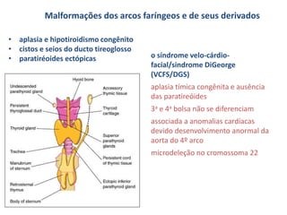 • aplasia e hipotiroidismo congênito
• cistos e seios do ducto tireoglosso
• paratiréoides ectópicas
Malformações dos arcos faríngeos e de seus derivados
o síndrome velo-cárdio-
facial/sindrome DiGeorge
(VCFS/DGS)
aplasia tímica congênita e ausência
das paratireóides
3a e 4a bolsa não se diferenciam
associada a anomalias cardíacas
devido desenvolvimento anormal da
aorta do 4º arco
microdeleção no cromossoma 22
 