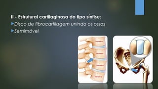 II - Estrutural cartilaginosa do tipo sínfise:
Disco de fibrocartilagem unindo os ossos
Semimóvel
 