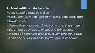 I - Estrutural fibrosa do tipo sutura:
Apenas entre ossos do crânio
Fina cama de tecido conjuntivo denso não modelado
Divide-se em:
a.Serrada/dentada: irregulares como uma engrenagem
b.Escamosa ou biselada: biseladas e sobrepostas
c.Plana ou harmônica: planas ou levemente enrugadas
d.Folheada ou esquindilese: bordas que se encaixam
 