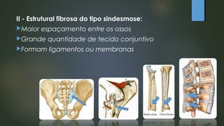 II - Estrutural fibrosa do tipo sindesmose:
Maior espaçamento entre os ossos
Grande quantidade de tecido conjuntivo
Formam ligamentos ou membranas
 