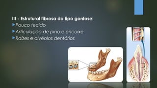 III - Estrutural fibrosa do tipo gonfose:
Pouco tecido
Articulação de pino e encaixe
Raízes e alvéolos dentários
 