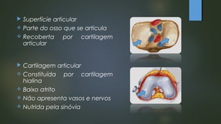  Superfície articular
 Parte do osso que se articula
 Recoberta por cartilagem
articular
 Cartilagem articular
 Constituída por cartilagem
hialina
 Baixo atrito
 Não apresenta vasos e nervos
 Nutrida pela sinóvia
 