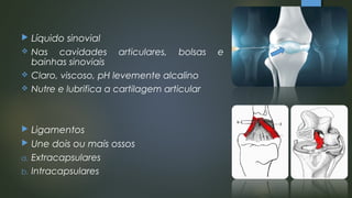  Líquido sinovial
 Nas cavidades articulares, bolsas e
bainhas sinoviais
 Claro, viscoso, pH levemente alcalino
 Nutre e lubrifica a cartilagem articular
 Ligamentos
 Une dois ou mais ossos
a. Extracapsulares
b. Intracapsulares
 